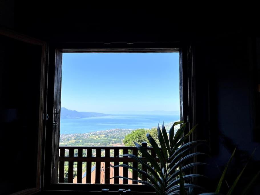 Swiss Chalet - Mountain And Lake View Blonay Kültér fotó