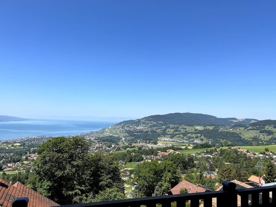 Swiss Chalet - Mountain And Lake View Blonay Kültér fotó